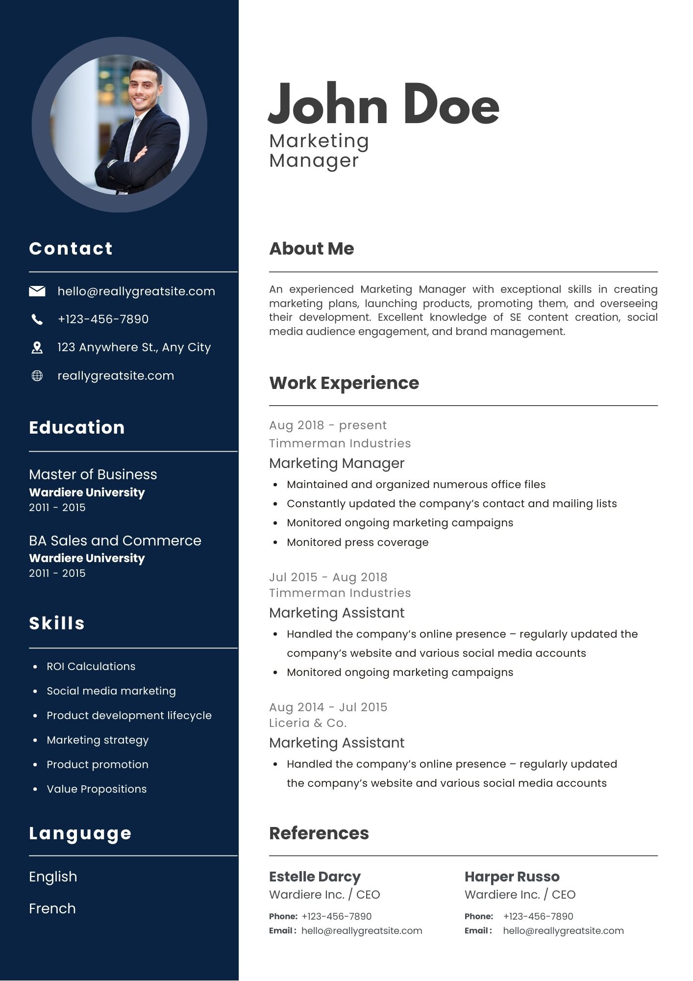 Professional Resume Sample
